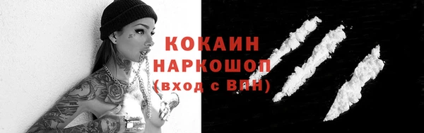 дмт Инсар